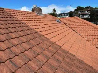 Before and After Roof Cleaning