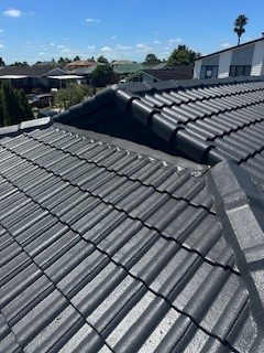 A roof after being cleaned and treated.