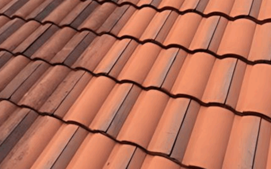 What Is Roof Pointing? A Guide for East Auckland Homeowners