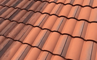 What Is Roof Pointing? A Guide for East Auckland Homeowners